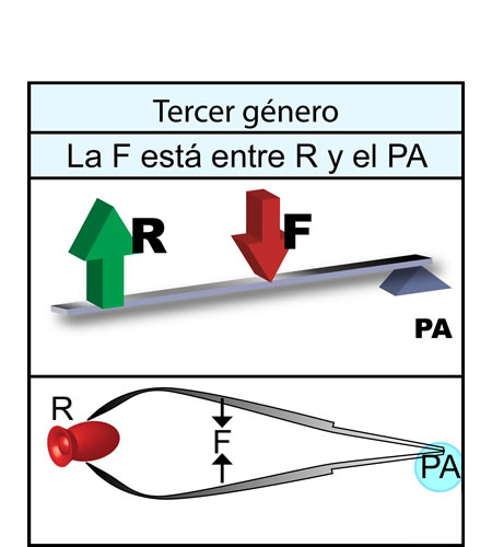 Palanca de tercer género